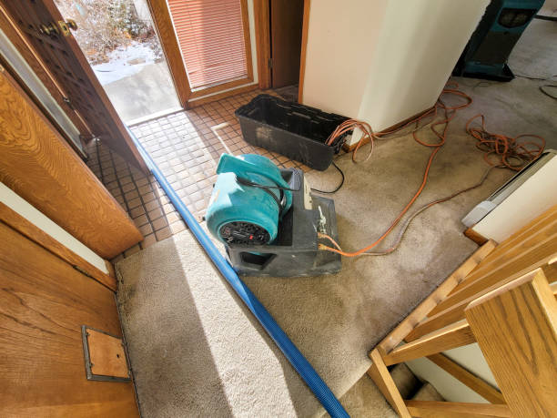 Best Emergency water damage restoration  in Beech Grove, IN