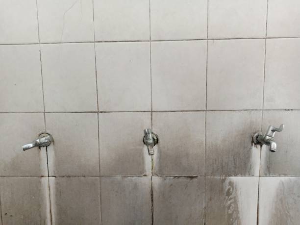 Best Flooded house restoration  in Beech Grove, IN