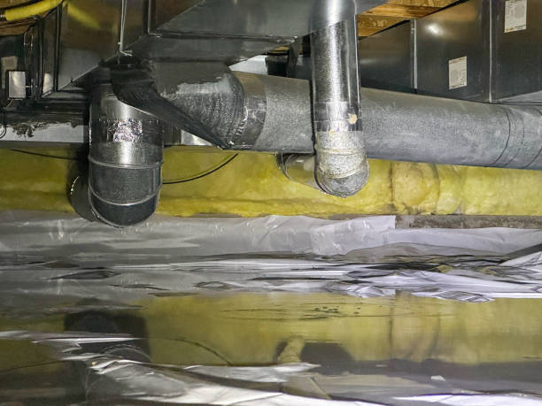 Best Professional water damage repair  in Beech Grove, IN