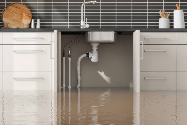 Best 24-hour water damage restoration  in Beech Grove, IN