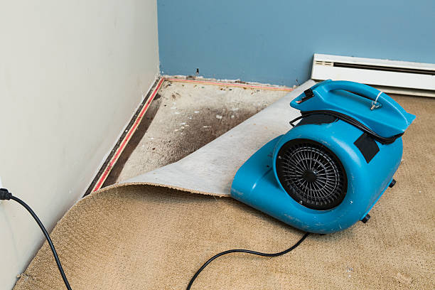 Best 24/7 water damage repair  in Beech Grove, IN